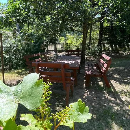 Dom Pod Glogami Holiday home